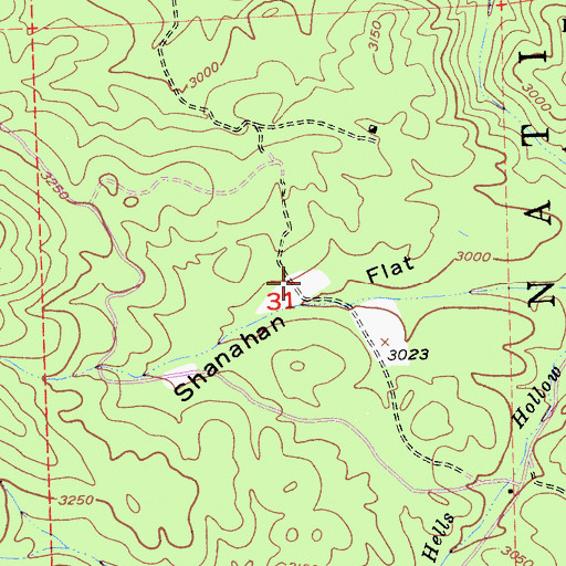Topographic Map of Shanahan Flat, CA