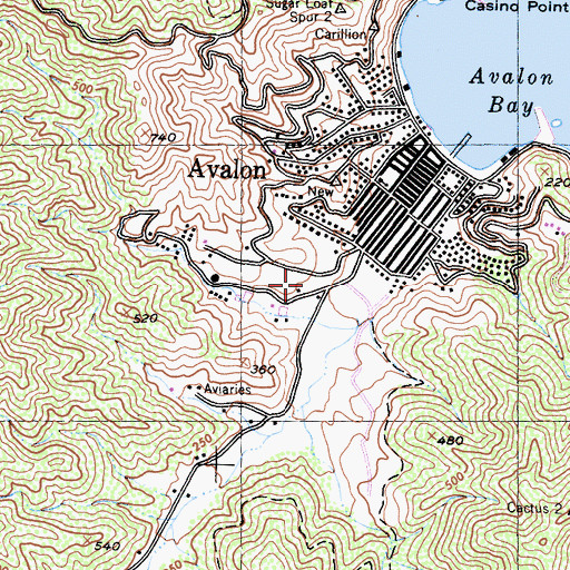 Topographic Map of Catalina Island Medical Center, CA