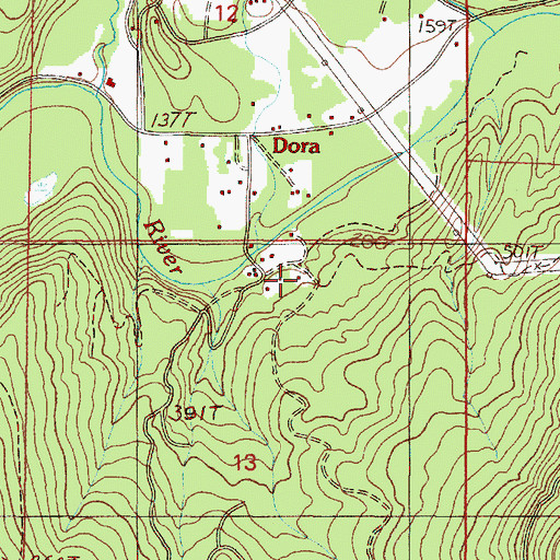 Topographic Map of Dora Public Library, OR