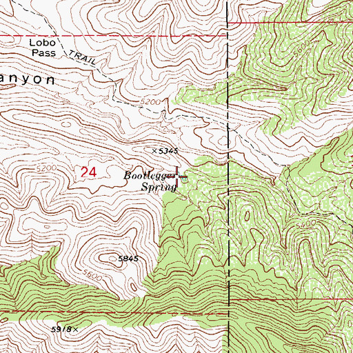 Topographic Map of Bootlegger Spring, AZ