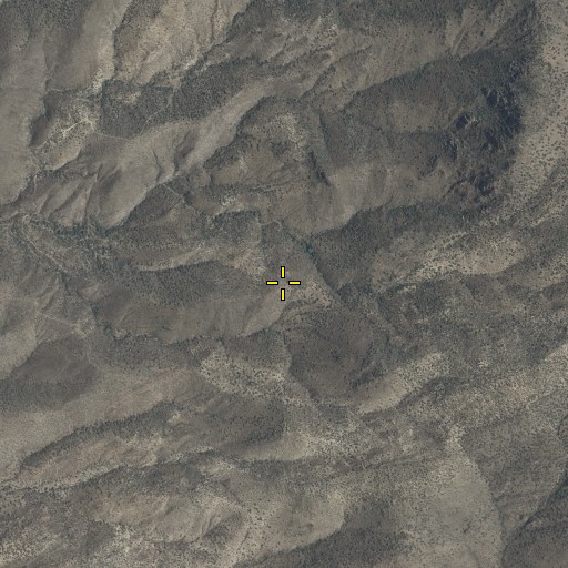 Aerial/Satellite Image of Bootlegger Spring, AZ