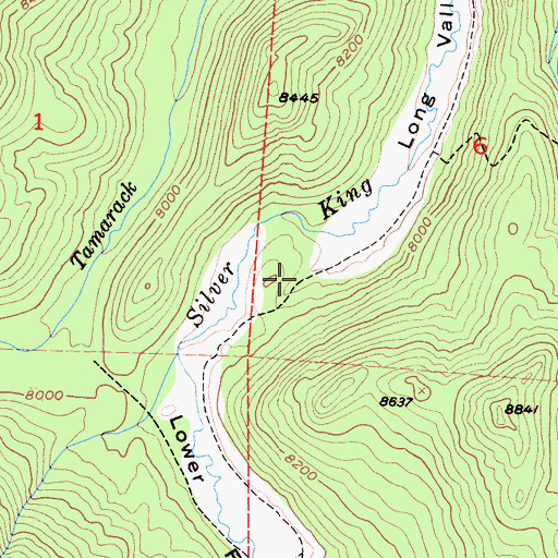 Topographic Map of Silver King Trail, CA