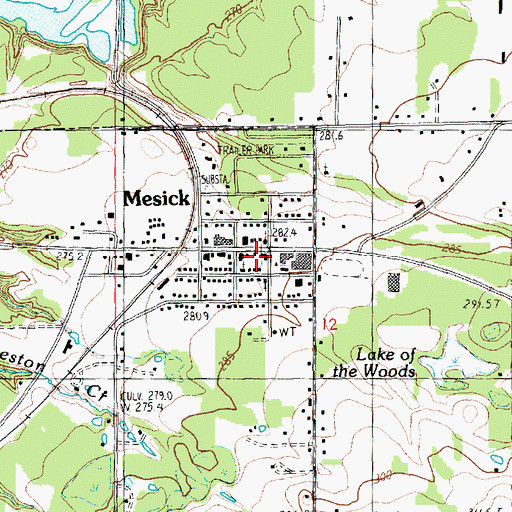 Topographic Map of Mesick Rescue Squad, MI