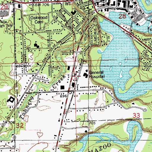 Topographic Map of Life Ambulance Service, MI