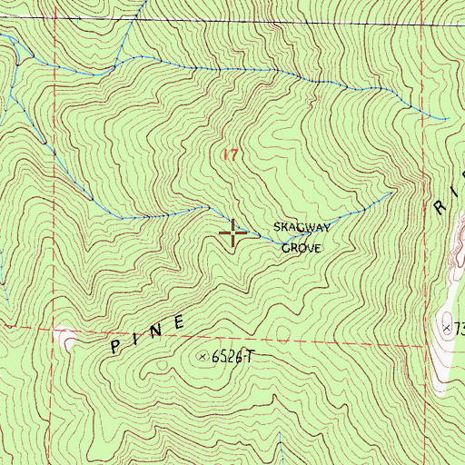 Topographic Map of Skagway Grove, CA