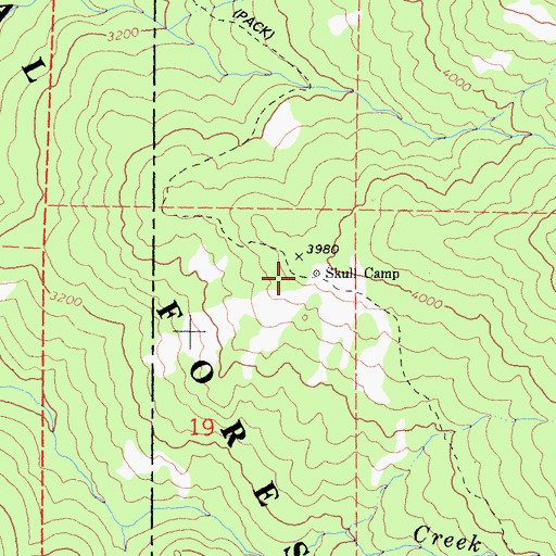 Topographic Map of Skull Camp, CA