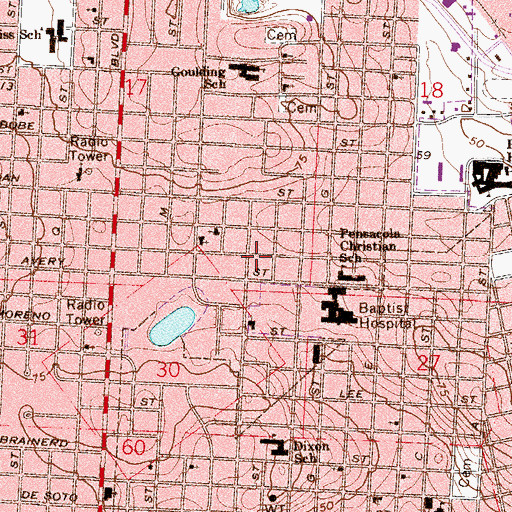Topographic Map of Lakeview Center Behavioral Health Services, FL