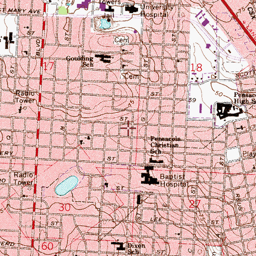 Topographic Map of Lakeview Center Lakeview Lodges, FL