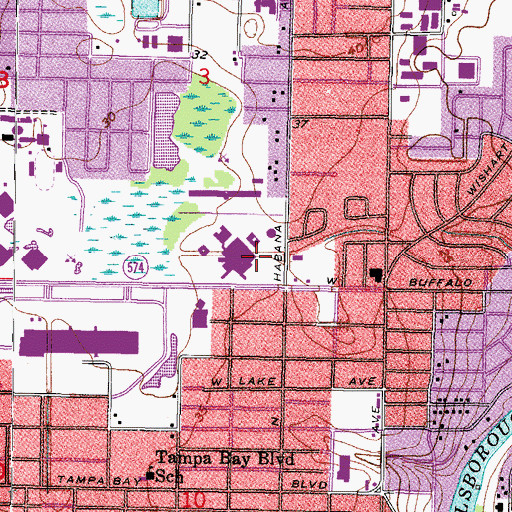 Topographic Map of Saint Joseph's Children's Hospital of Tampa, FL