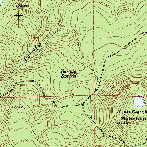 Topographic Map of Bosque Spring, AZ