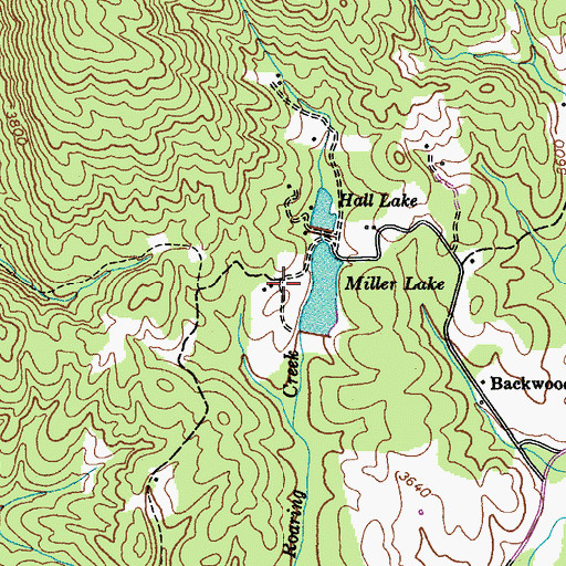 Topographic Map of Ripshin Tree Farm, TN