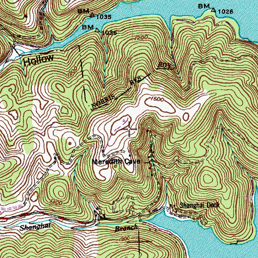 Topographic Map of Boshears Tree Farm, TN