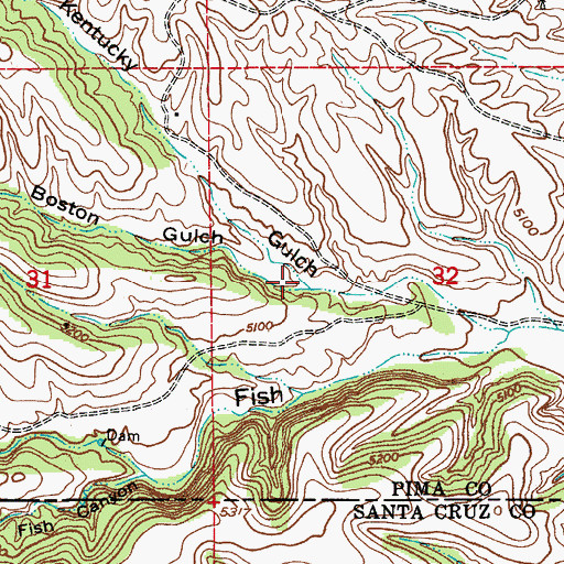 Topographic Map of Boston Gulch, AZ