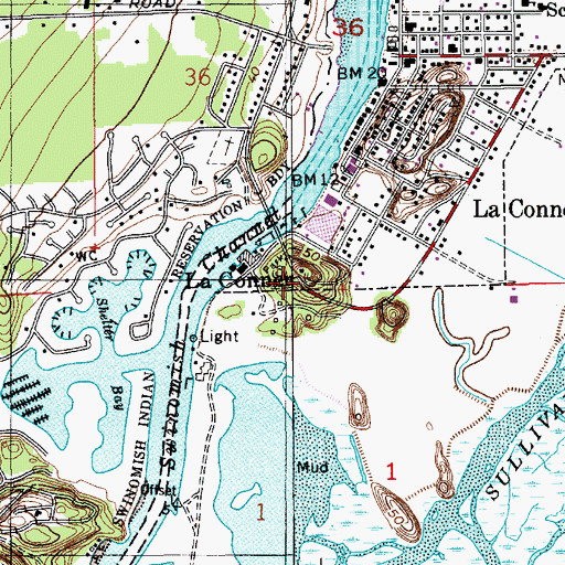 Topographic Map of Pioneer Park, WA