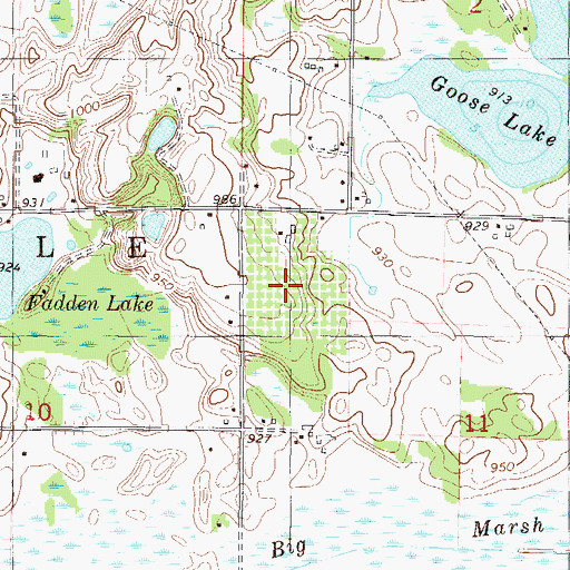 Topographic Map of Deer Lake Orchard, MN
