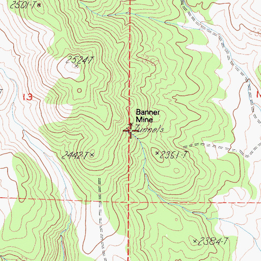 Topographic Map of Banner Mine, CA