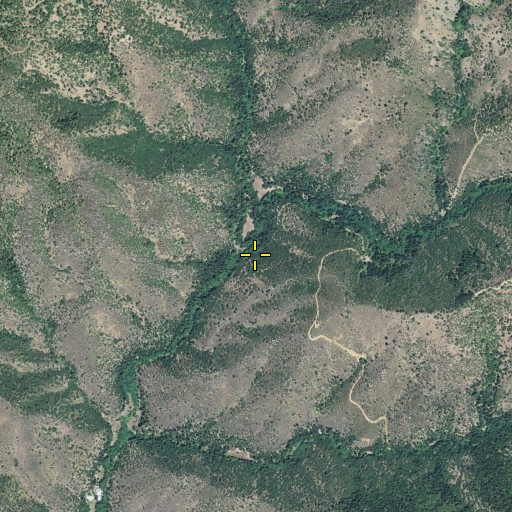 Aerial/Satellite Image of Bear Creek, CA