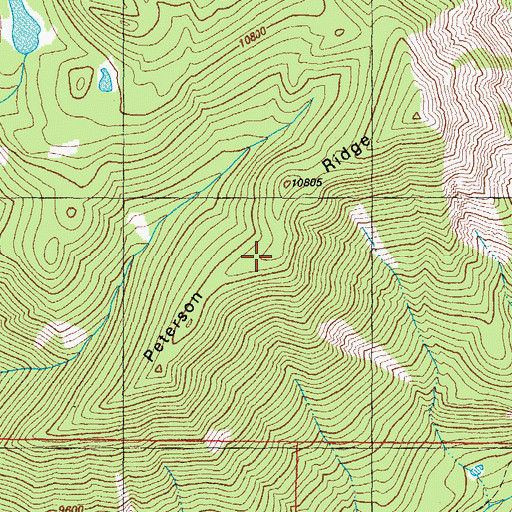 Topographic Map of Peterson Ridge, CO