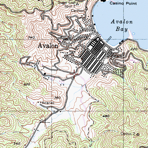 Topographic Map of City of Avalon Fire Department, CA