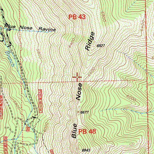 Topographic Map of Blue Nose Ridge, CA