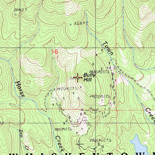 Topographic Map of Bully Hill, CA