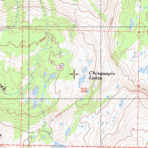 Topographic Map of Chinquapin Lakes, CA