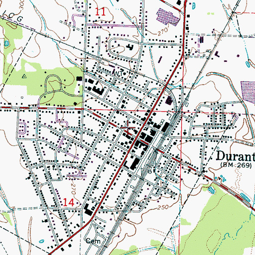 Topographic Map of Durant Fire Department, MS