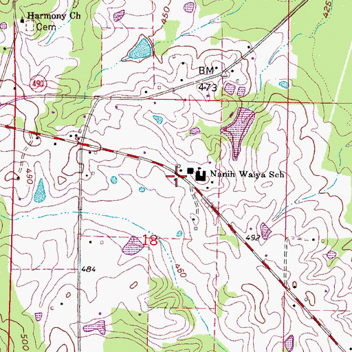 Topographic Map of Nanih Waiya Volunteer Fire Department, MS