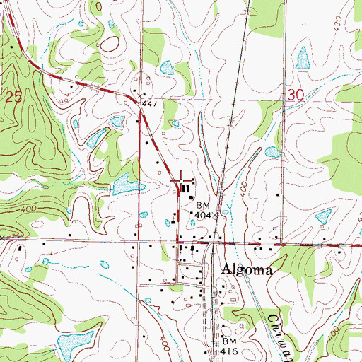 Topographic Map of Algoma Volunteer Fire Department, MS