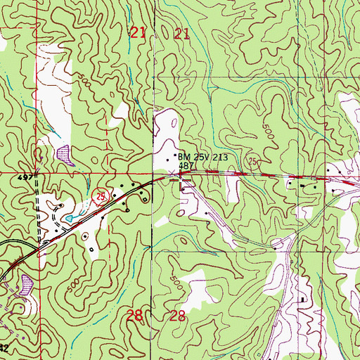 Topographic Map of Northeast Itawamba Volunteer Fire Department Station 852, MS