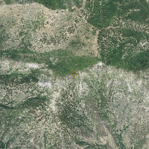 Aerial/Satellite Image of Craggy Mountain, CA