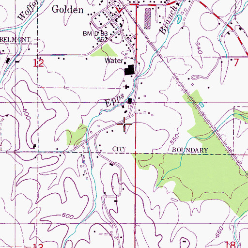 Topographic Map of Golden Fire Department, MS
