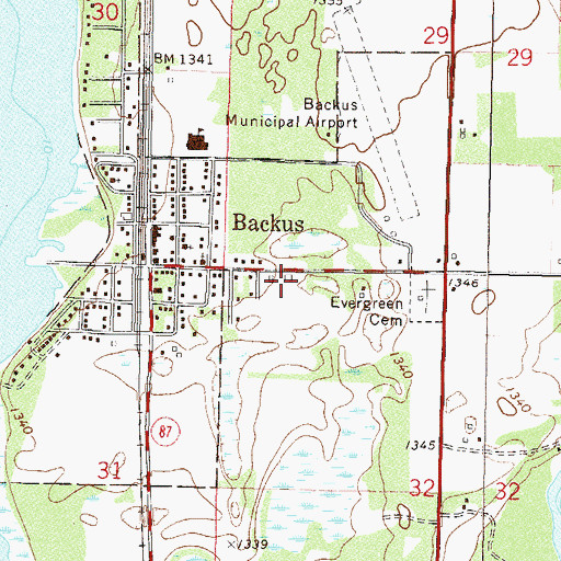Topographic Map of Department of Natural Resources Division of Forestry - Backus Forestry Office, MN