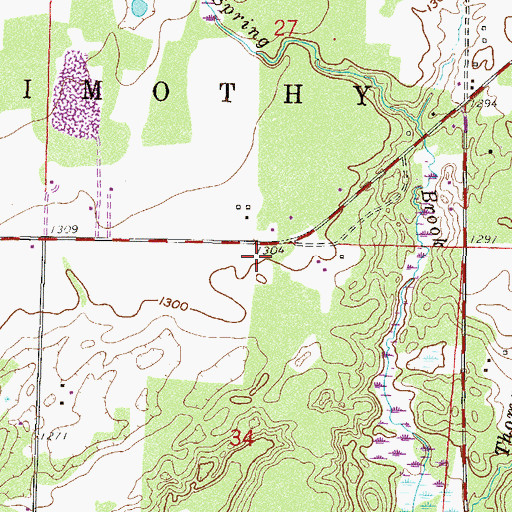 Topographic Map of Ideal Township Fire Department Station 2, MN