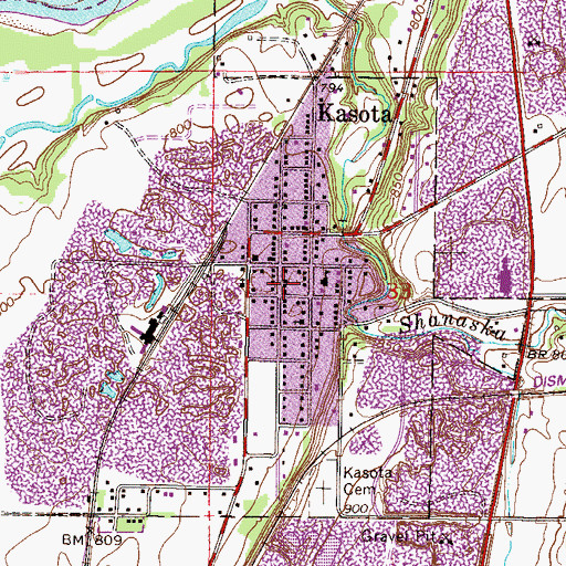 Topographic Map of Kasota Fire Department, MN