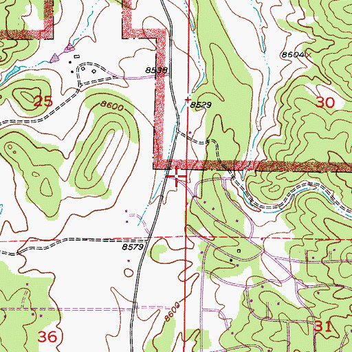 Topographic Map of Florissant Fire and Rescue Station 2, CO