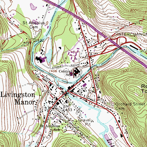 Topographic Map of Livingston Manor High School, NY