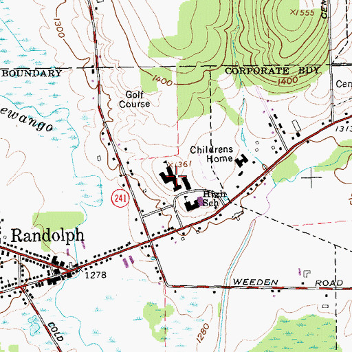 Topographic Map of Randolph Middle School, NY