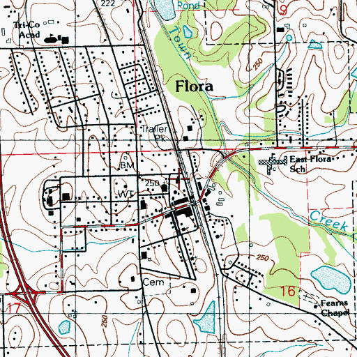 Topographic Map of Flora Fire Department, MS