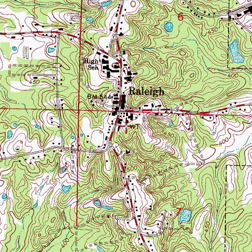 Topographic Map of Raleigh Fire Department, MS