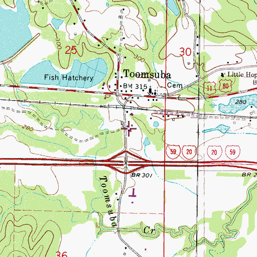 Topographic Map of Toomsuba Volunteer Fire Department, MS