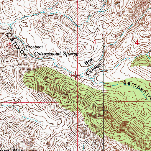 Topographic Map of Box Canyon, AZ