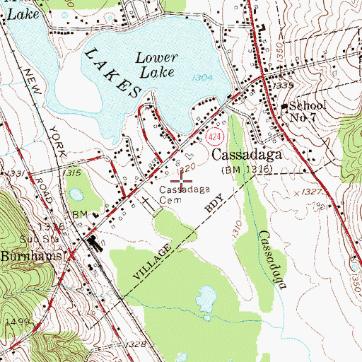 Topographic Map of Cassadaga Elementary School, NY