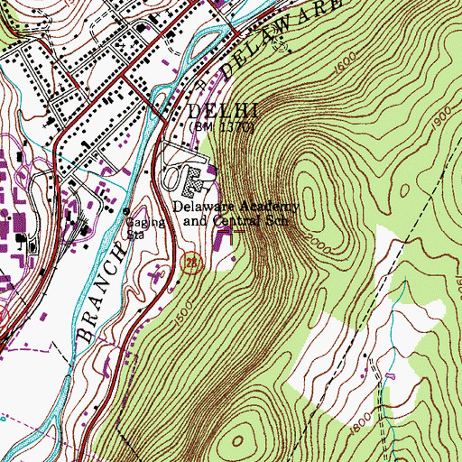 Topographic Map of Delhi Elementary School, NY