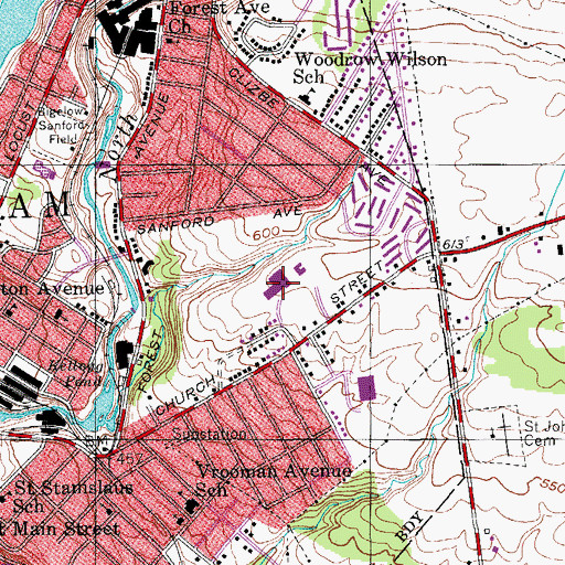 Topographic Map of Saint Mary's Institute Elementary School, NY