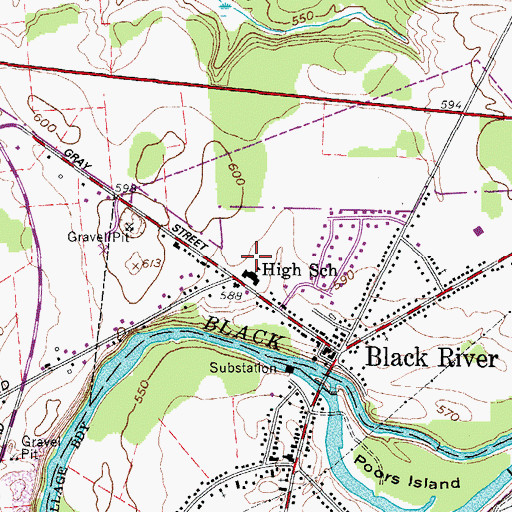 Topographic Map of Black River School, NY