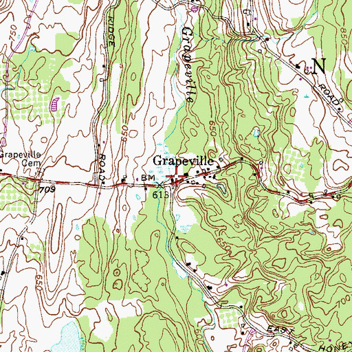 Topographic Map of Grapeville Christian School, NY