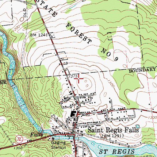 Topographic Map of Saint Regis Falls Central School, NY