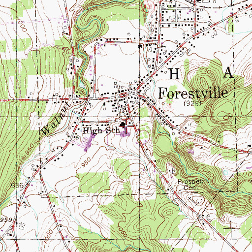 Topographic Map of Forestville Central High School, NY