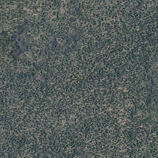 Aerial/Satellite Image of Long Bell State Game Refuge 1N, CA